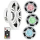 thumbnail image 1 of BELVA BMSS10RW 800W Peak (400W RMS) Subwoofer marino poco profundo de 10 pulgadas con iluminación LE, 1 of 9