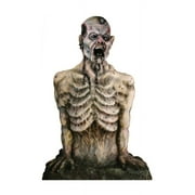 Advanced Graphics Lifesize Wall Decor Cardboard Standup Poster Breaking Ground