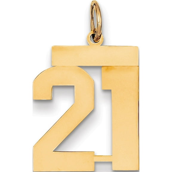 14k Yellow Gold Medium Polished Number 21 Pendant / Charm
