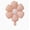 A, variant on 7-Pack Smiley Cartoon Daisy Balloons - Cheerful Sunflower Party Decorations for Birthdays and Celebrations