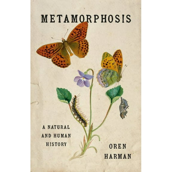 Pre-Owned Metamorphosis: A Natural and Human History, (Hardcover)