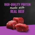 thumbnail image 6 of Cesar Filets In Gravy Filet Mignon Flavor Wet Dog Food Adult, 3.5 Oz Easy Peel Tray, 6 of 14