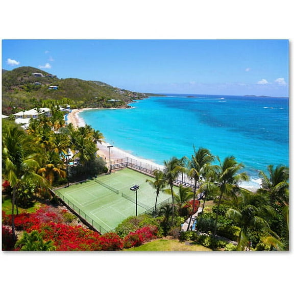 Trademark Fine Art "Virgin Islands 5" Canvas Art by CATeyes