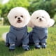 thumbnail image 4 of Botas De Suspensor De Perros, Zapatos Para Perros Ajustables Antideslizantes Con Suspensión, Protector De Patas Para Perros Pequeños Medianos Grandes, Nieve, Lluvia, Senderismo, 4 of 7