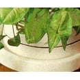 thumbnail image 2 of Two Plant Caddy, Use Indoor or Outdoor, Four Wheels, Extra Large Lip, White, Sturdy Plastic, Italian, 2 of 4