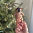 thumbnail image 2 of Wombat Finger Puppet, 2 of 2