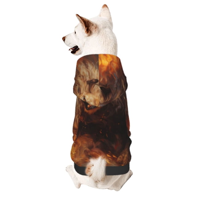 Balery Cool Fire Lion Sudadera con Capucha para Perros Pequeños – Ropa para Mascotas, Disfraz para Perros y Gatos, Ideal para Fiestas y Cosplay-Medium