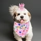 thumbnail image 4 of 3pcs perrito cumpleaños pañero sombrero de cumpleaños vestido de perro juego de perros juego de cachorro, 4 of 6