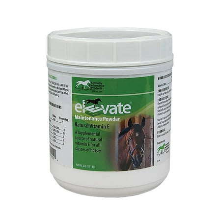 Elevate Maintenance Powder 2lb