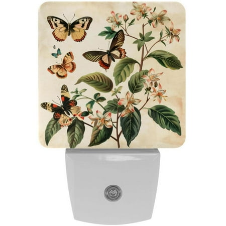 

2 Pack Auto Dusk-to-Dawn Sensor Night Lights Vintage Floral Plant Butterflies Plug-in Home Office Decorative Lamp for Adult 0.5W LED Nightlights for Bedroom Bathroom Hallway Stairs