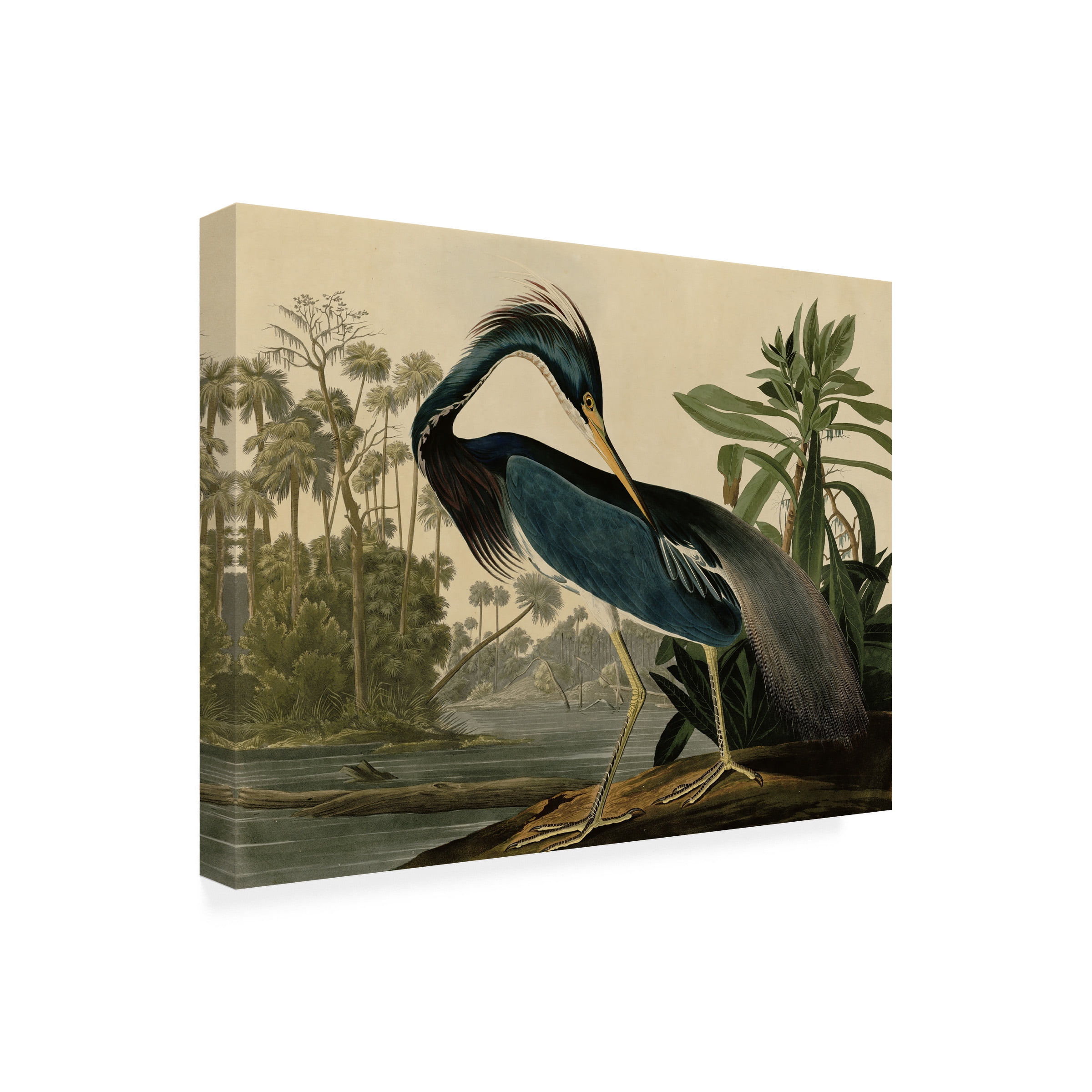John James Audubon 'Louisiana Heron' Outdoor All-Weather Wall Decor
