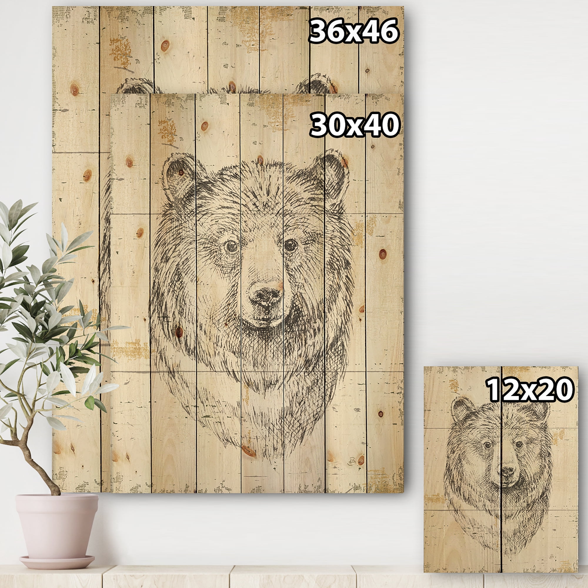 Designart 'Portrait of Bear Wild and Beautiful' Wildlife Animal Print on Natural Pine Wood