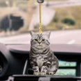 thumbnail image 2 of Adorno colgante de acrílico para mascotas, espejo retrovisor universal para automóvil, decoración interior, 6, 2 of 5