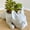 A1398 SSZMDLB under $5, variant on SSZMDLB under $5 Resin Planter, Planters, Resin Dog Puppy Planter for Mini Plants, Cute Bonsai Flower Pot for Home Garden Office Desktop Decor, White Animal Shape Pot, Novelty Gift Idea