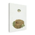 thumbnail image 2 of Trademark Fine Art 'Spring Nest IV Crop' Canvas Art by Wild Apple Portfolio, 2 of 4