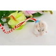 thumbnail image 4 of 1.4m Adjustable Pet Hamster  Leash Adjustable Colored Traction Ropes Harness  Collar Hand-knitted Cotton Rope (random Color), 4 of 7