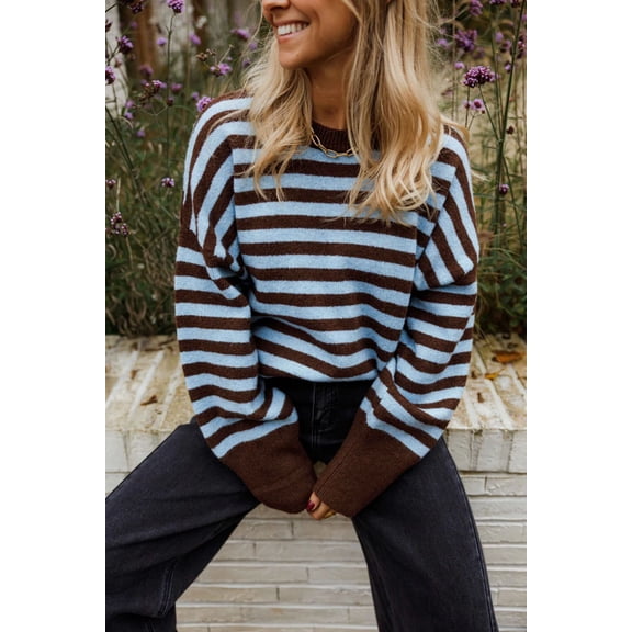 2026 Fall/Winter New Women's Crewneck Brown and Light Blue Striped Oversized Knit Sweater