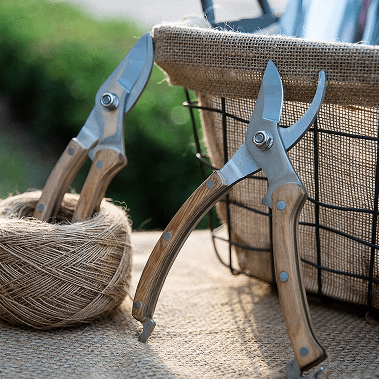 Bypass Pruning Shears - Premium Garden Shears, Heavy Duty Hand Pruners -  Ideal Plant Scissors, Branch Cutter - Ergonomic Garden Tool for Effortless  Cuts