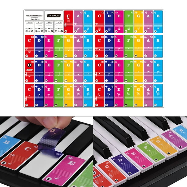 Ammoon Piano Clavier Autocollants pour 37/49/61/88 Clavier Clavier Amovible  Coloré pour Enfants Débutants Piano Pratique Apprentissage 