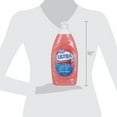Great Value Liquid Dish Soap, Fruity Scent, 28 Fluid Ounce