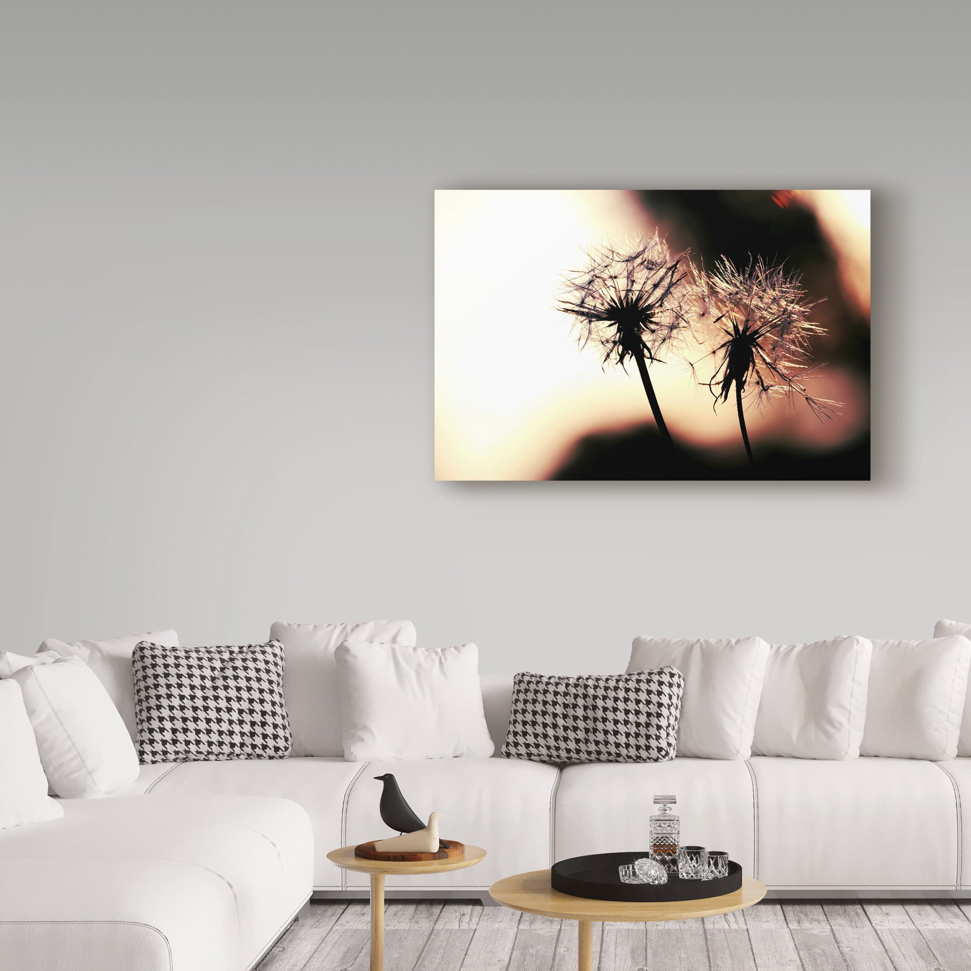 Trademark Fine Art 'Summer Romance Dandelions' Canvas Art by Incredi