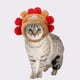 thumbnail image 3 of Tocado divertido para mascotas, sombrero para modelar erizos, sombrero para perros y gatos, 3 of 8