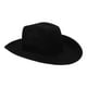 thumbnail image 5 of BRIGHTFUFU Sombrero de Vaquero de Fieltro Sombrero de Vaquero de Fieltro Gorra de Vaquera de Fiesta con Correa Ajustable para el Cuello, 5 of 8