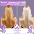 thumbnail image 4 of Gray-Purple Hydrating Hair Mask for Frizz Control & Dry Hair Repair - Deep Conditioning Treatment for Soft, Smooth Strands 100g, 4 of 6