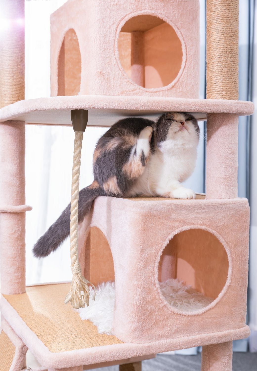 Catry Arbre à chat en forme de château à 7 niveaux avec condos, griffoirs, jouets pour chats et hamac
