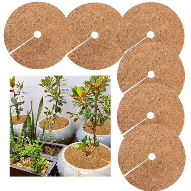 6 piezas genéricas: cesta para plantas con revestimiento de fibra Insertos Revestimiento redondo para cestas de plantas Revestimiento para cestas Revestimiento de repuesto Marrón Cojín de nogal Ester