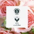 thumbnail image 5 of Set de champú y acondicionador Herbal Essences Shine Collection 865ml Smooth Lisse, 5 of 5