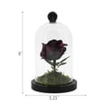 thumbnail image 4 of Clear Dome with Rose Decoration, Multicolor, 7.25", Halloween by Way To Celebrate, 4 of 4