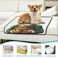 thumbnail image 6 of Qxltty Stpatricks Day Leprechaun Cat litter Pads Pet Set of 3 Diaper Mats Center Anti-leakage Layer Absorbent Soft and Comfortable, 6 of 7