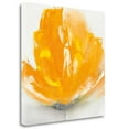 thumbnail image 2 of Tangletown Fine Art 'Wild Orange Sherbet II' Print on Wrapped Canvas, 2 of 2