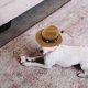 thumbnail image 4 of Sombrero de vaquero para mascotas de poliéster denim - cinta desmontable para la cabeza, talla única - para perros gatos Fiesta/Decoración exterior, 4 of 7