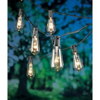Living accents edison lights online