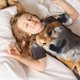 thumbnail image 5 of Fotbe Regal Shiba Inu Pijama Estampada de 2 Piezas para Niños – Ropa de Dormir de Manga Corta Cómoda para Niños y Niñas, Camiseta y Shorts de Algodón-4X-Large, 5 of 6