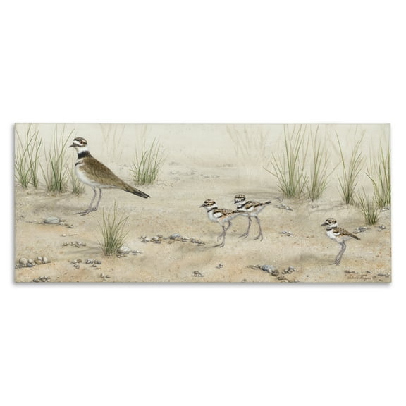 Stupell Industries Kildeer Birds Stepping Landscape & Nature Painting Wrapped Canvas Art Print Wall Art, 24 x 10