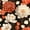 Terracotta Coral Rust, variant on Manfei Vintage Floral Leaves Twin Quilt Set 2 Pieces,Minimalist Stripes Twin Coverlet Set,1 Bedspread and 1 Pillowcase