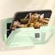 thumbnail image 5 of Fiudx Ofertas y liquidaciones Estante para teléfono de ducha, giratorio, retráctil, ajustable, caja para teléfono de ducha, estante para baño, soporte de montaje para teléfono en pared, estuche a pru, 5 of 6