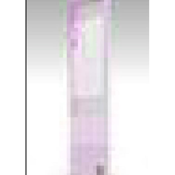 ontosophysix, (Paperback)