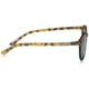 thumbnail image 4 of Lentes de Sol Belmont Polarizados Suncloud, Mate Tortuga Azul, 4 of 5