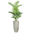 thumbnail image 1 of Vintage Home Artificial Faux Real Touch 5.84 Feet Tall Palm Tree With Fiberstone Planter, 1 of 3