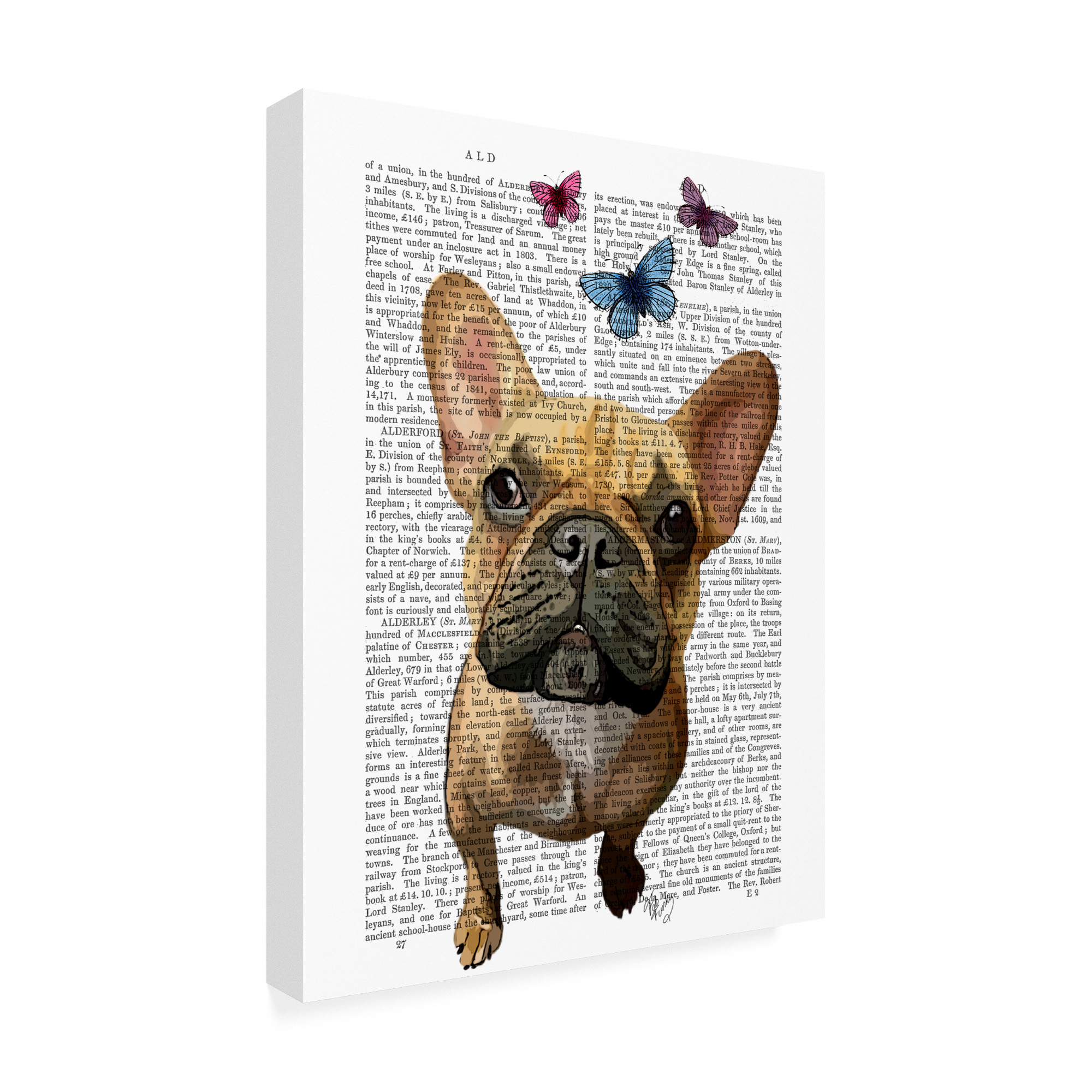 Trademark Fine Art 'Brown French Bulldog and Butterflies' Canvas Art by Fab Funky