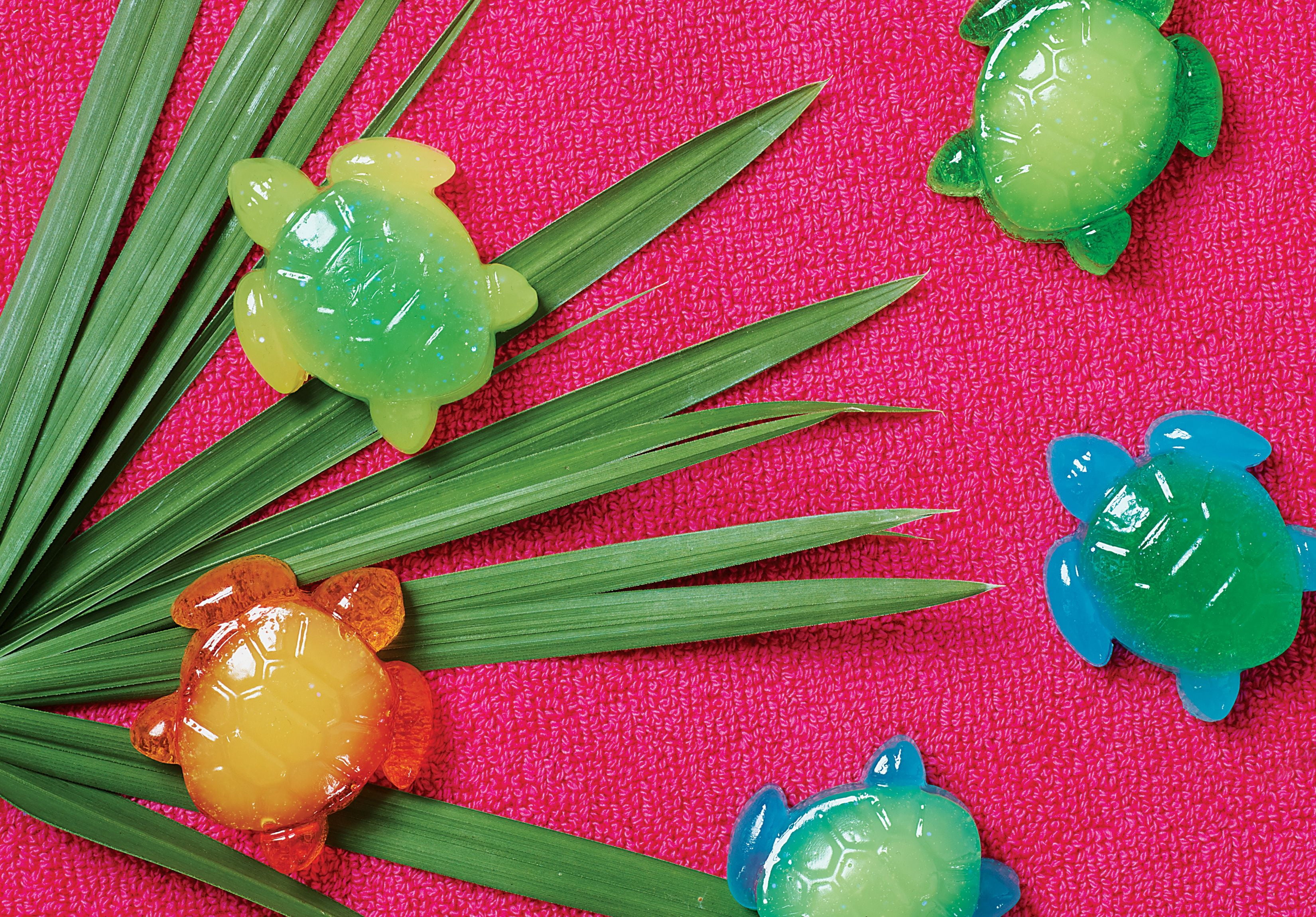 Make Your Own Soap Jellies Kit