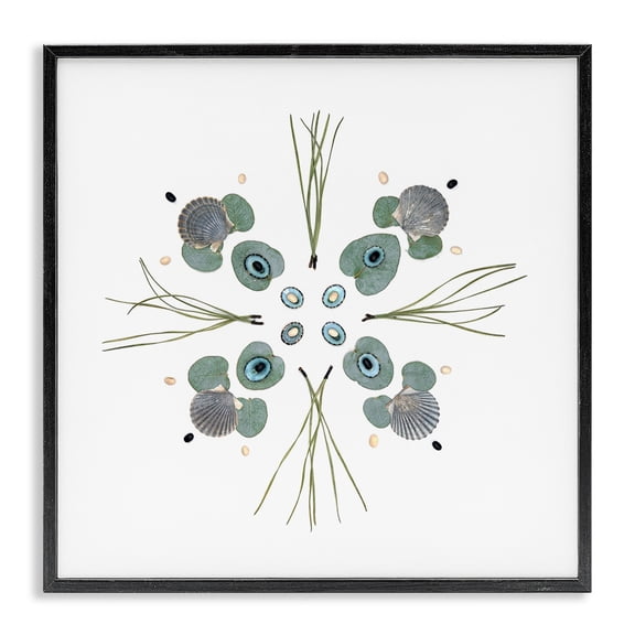 Stupell Industries Eclectic Seashell & Leaf Symmetry Black Framed Giclee Art, 12 x 12, by Beth Adoette
