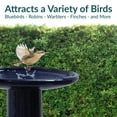 thumbnail image 4 of Sunnydaze Classic Freestanding Ceramic Outdoor Bird Bath, UV-Resistant Dark Blue Finish, 4 of 12
