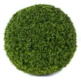 thumbnail image 3 of 3rd Street Inn Cypress Topiary Ball Extra Large 1 Pack - Cypress, 3 of 5