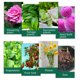 thumbnail image 2 of Plant Growth Enhancer Supplement Improve Surviving Rate Promote Photosynthesis 50ML 2pc, 2 of 8