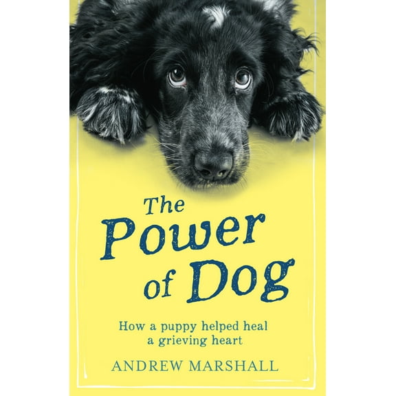 The Power of Dog : How a Puppy Helped Heal a Grieving Heart (Paperback)
